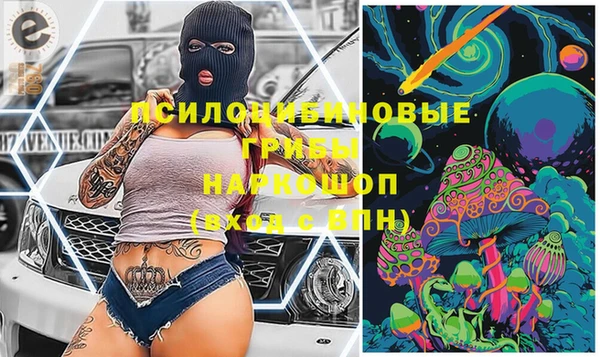 ГАЛЛЮЦИНОГЕННЫЕ ГРИБЫ Россошь